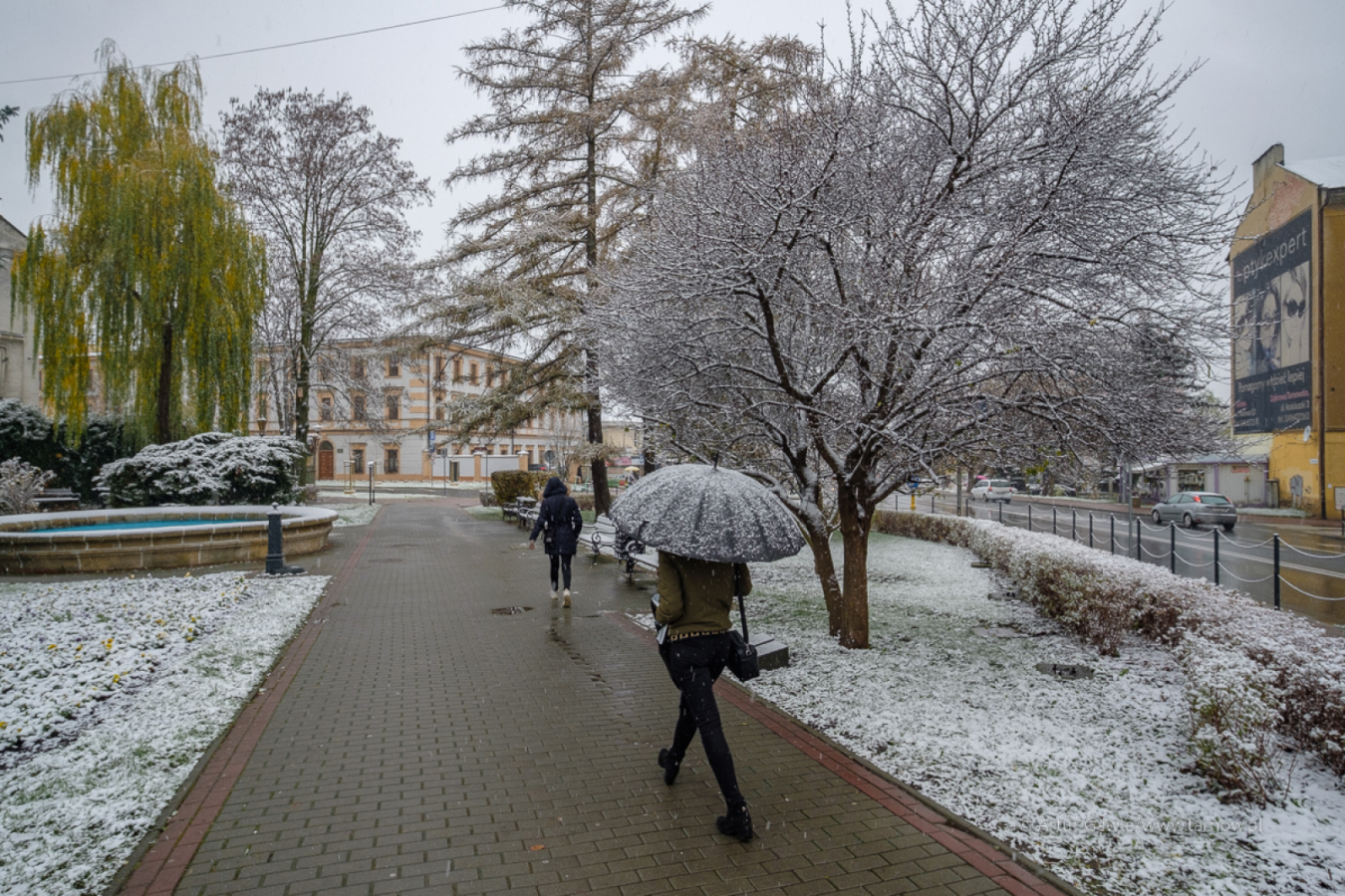 W Tarnowie trwa akcja zima